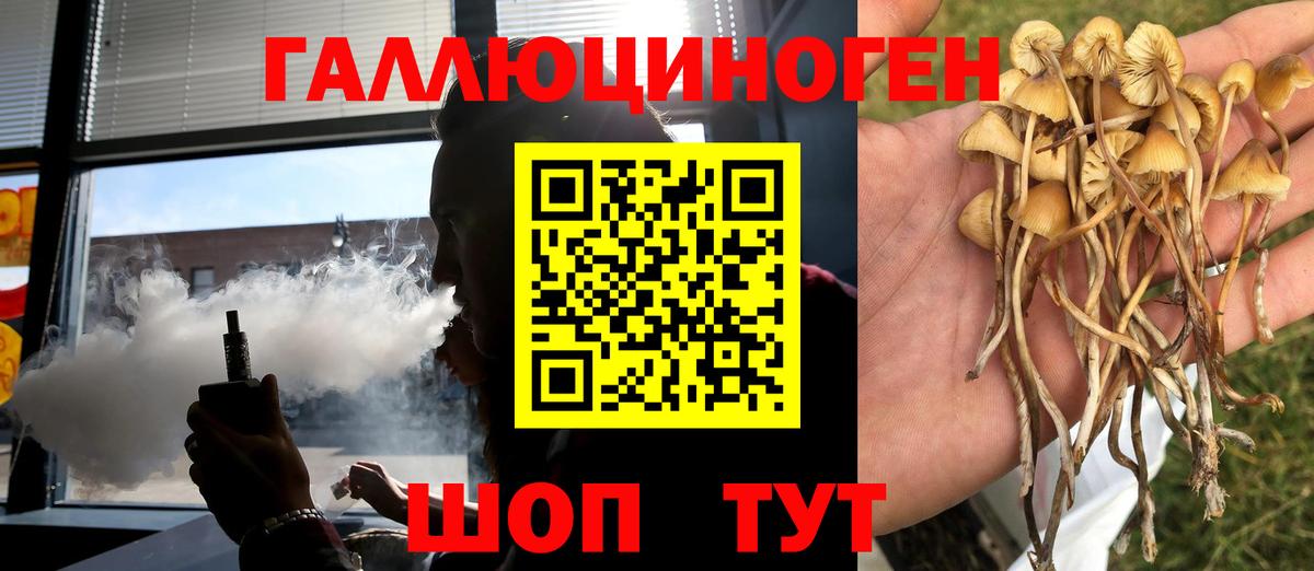 Трёхгорный  Галлюциногенные грибы Psilocybe  Вход с VPN 